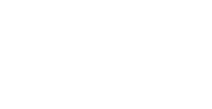 USA Properties Fund logo white